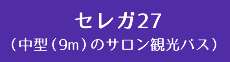 セレガ27（中型（9m）のサロン観光バス）
        